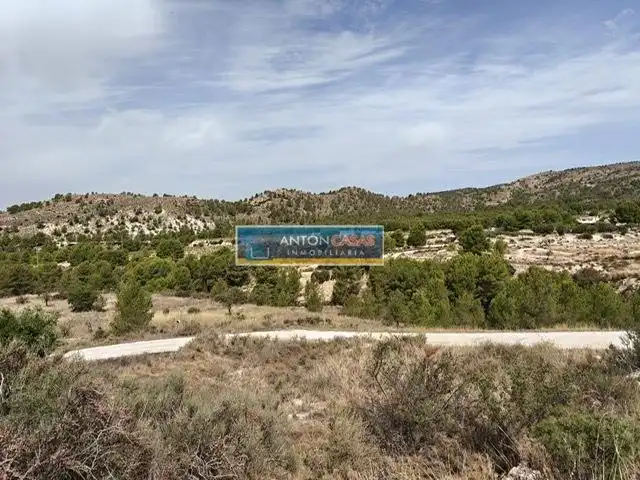 Finca rústica en venta en Petrer
