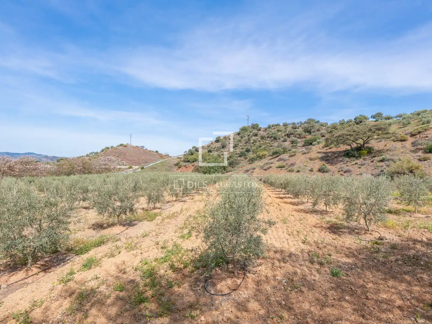 Finca rústica en venda en Málaga amb Jardí privat, Terrassa i Traster