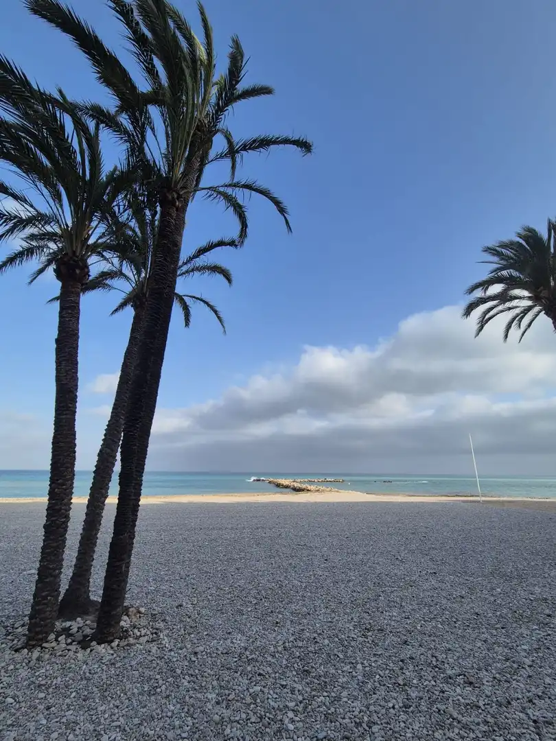 Locale commerciale in cessione a Altea ciudad