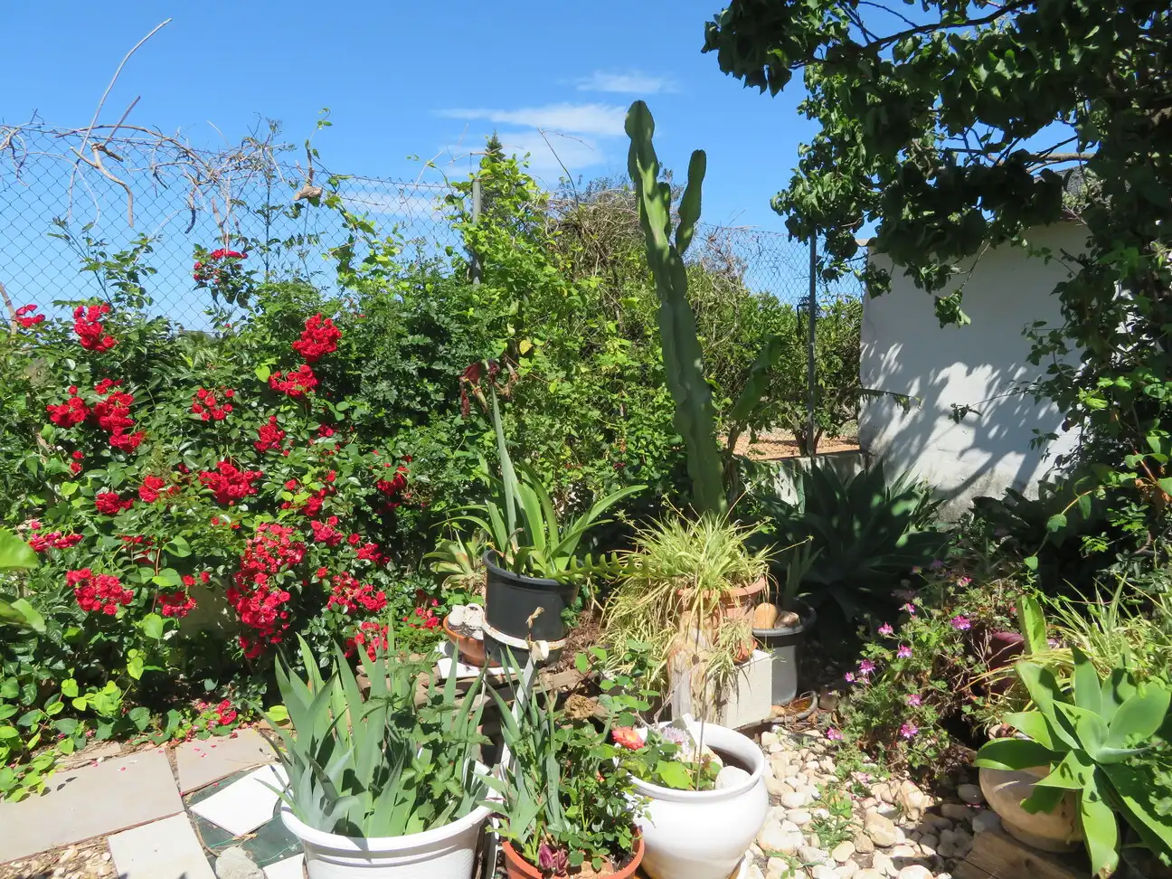 Detached house with garden for sale in El Verger, imagen 36