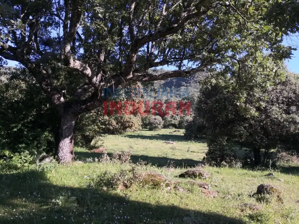 Casa en venda a Casas del Castañar, imagen 7