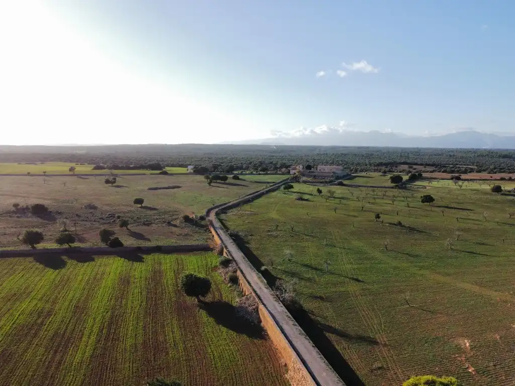 Finca rústica en venta en Santa Margalida