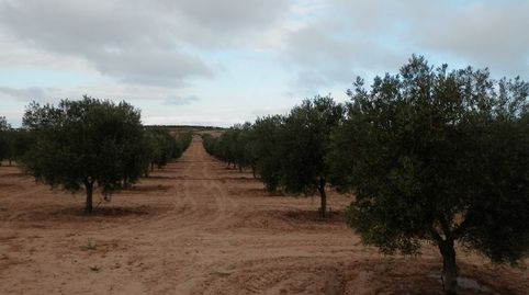 Photo 2 of Land for sale in Carretera Vieja, 37, Cúllar, Granada