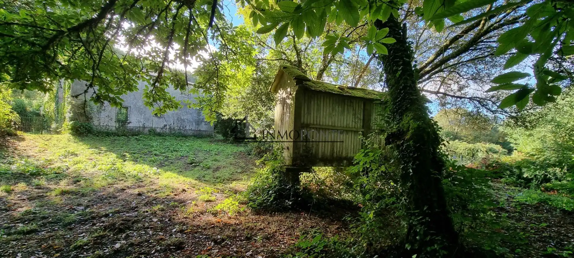 Haus mit Garten zum Verkauf in Forcarei, imagen 3