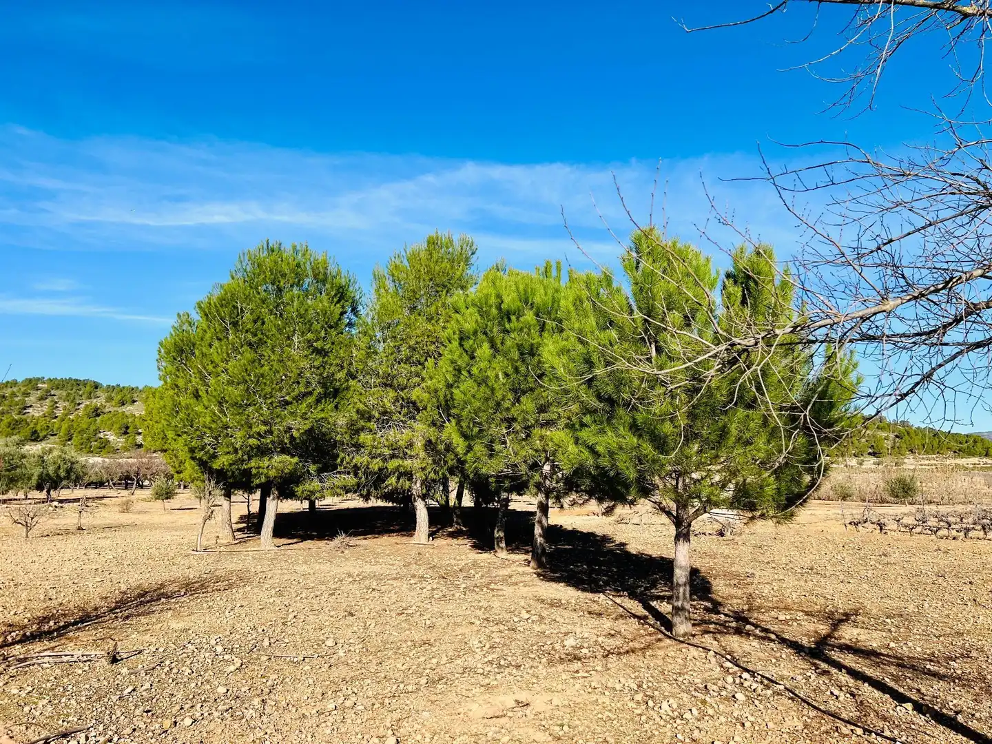 Terreny residencial en venda a Cañada, imagen 9