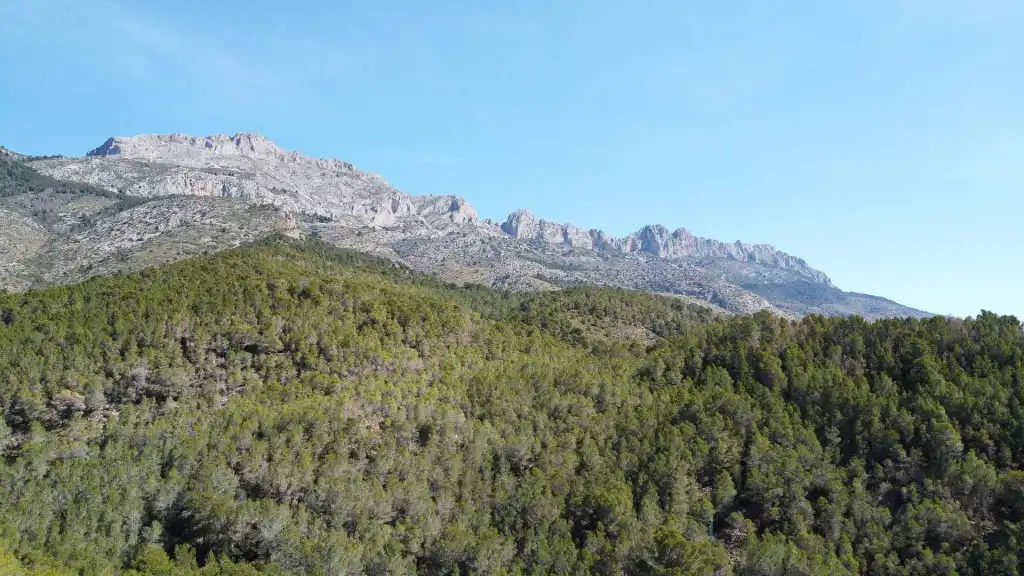 Haus oder Chalet zum Verkauf in Altea ciudad