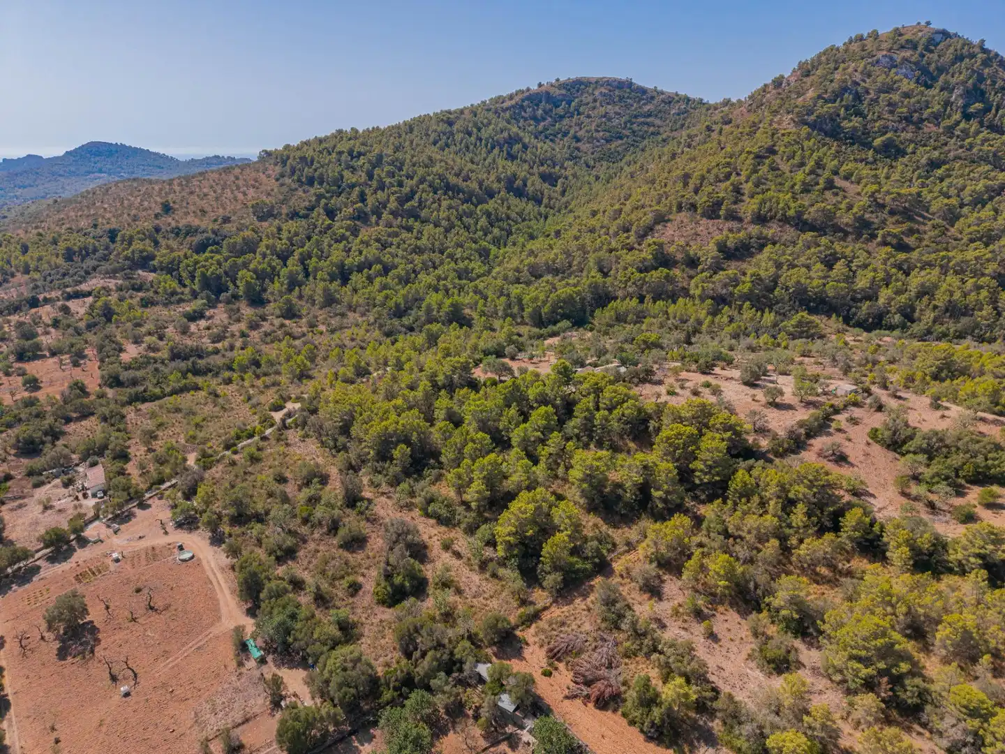 Rural land for sale in Son Servera Poble, imagen 8