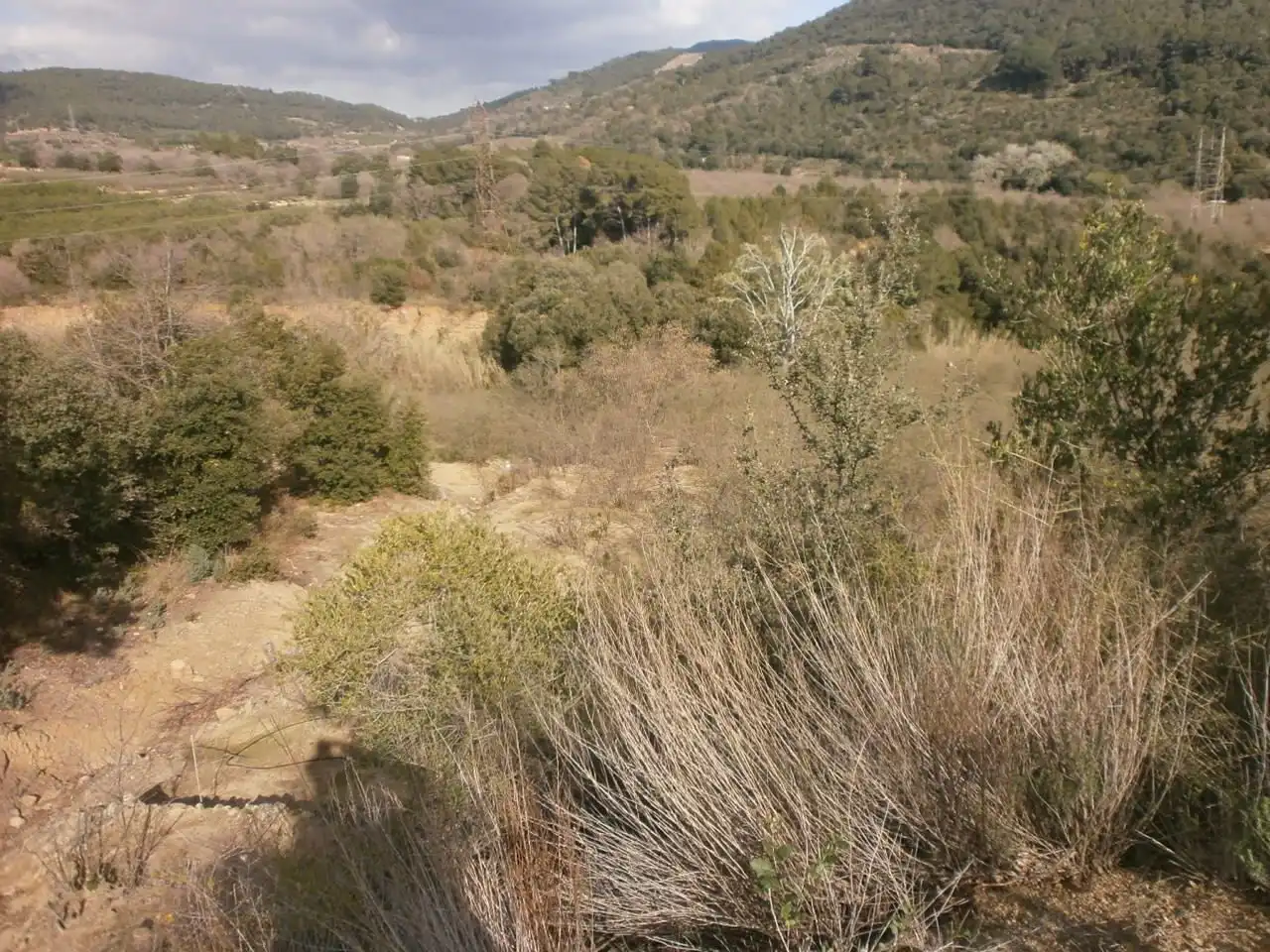 Land for sale in Vilaplana, Tarragona