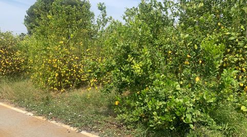 Foto 4 de Terreno en venta en Zeneta, Murcia Capital