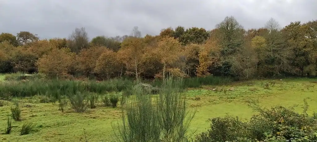 Jardín de Casa o chalet en venta en Lugo