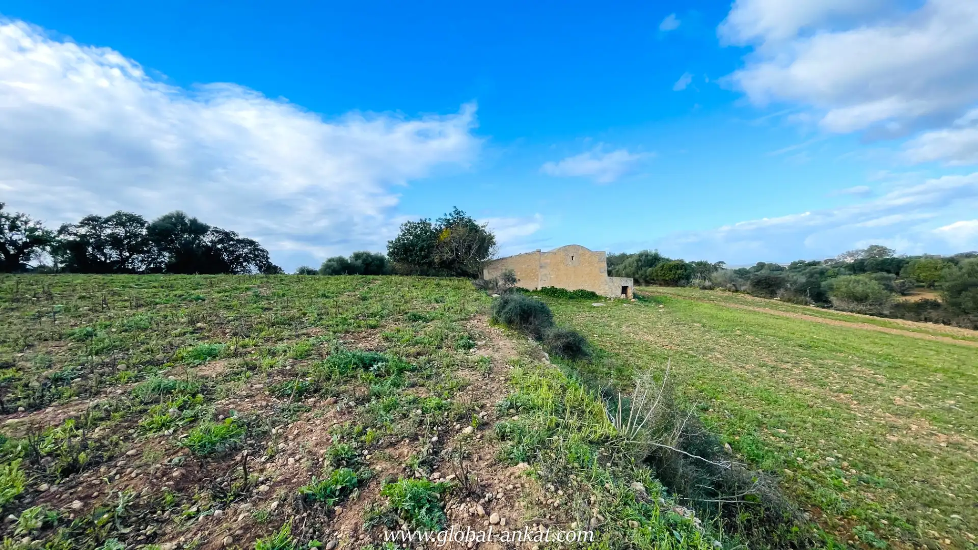 Rural land for sale in Felanitx Poble, imagen 6