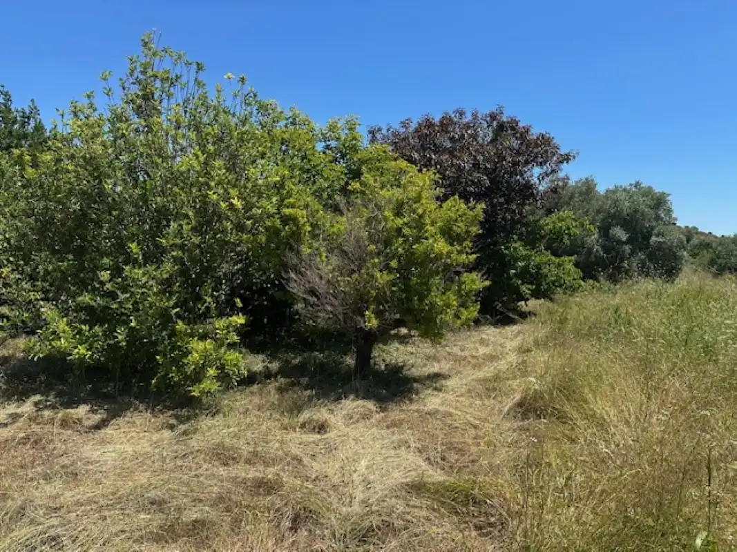 Terreno en venta en La Font d'en Carròs