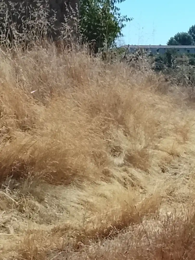 Terreni e lotti in vendita a Villanueva de la Vera, imagen 35