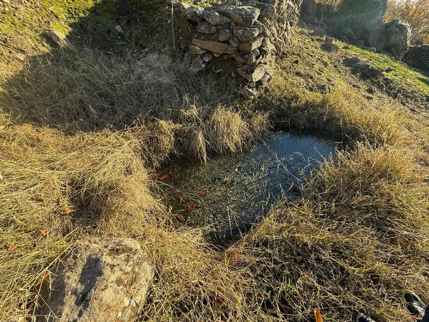 Garden of Land for sale in Arroyomolinos de la Vera