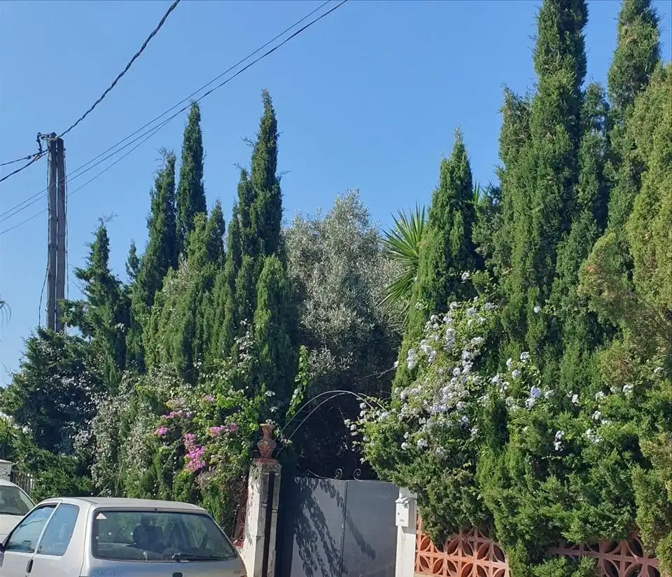 House for sale in De la Mola, imagen 3