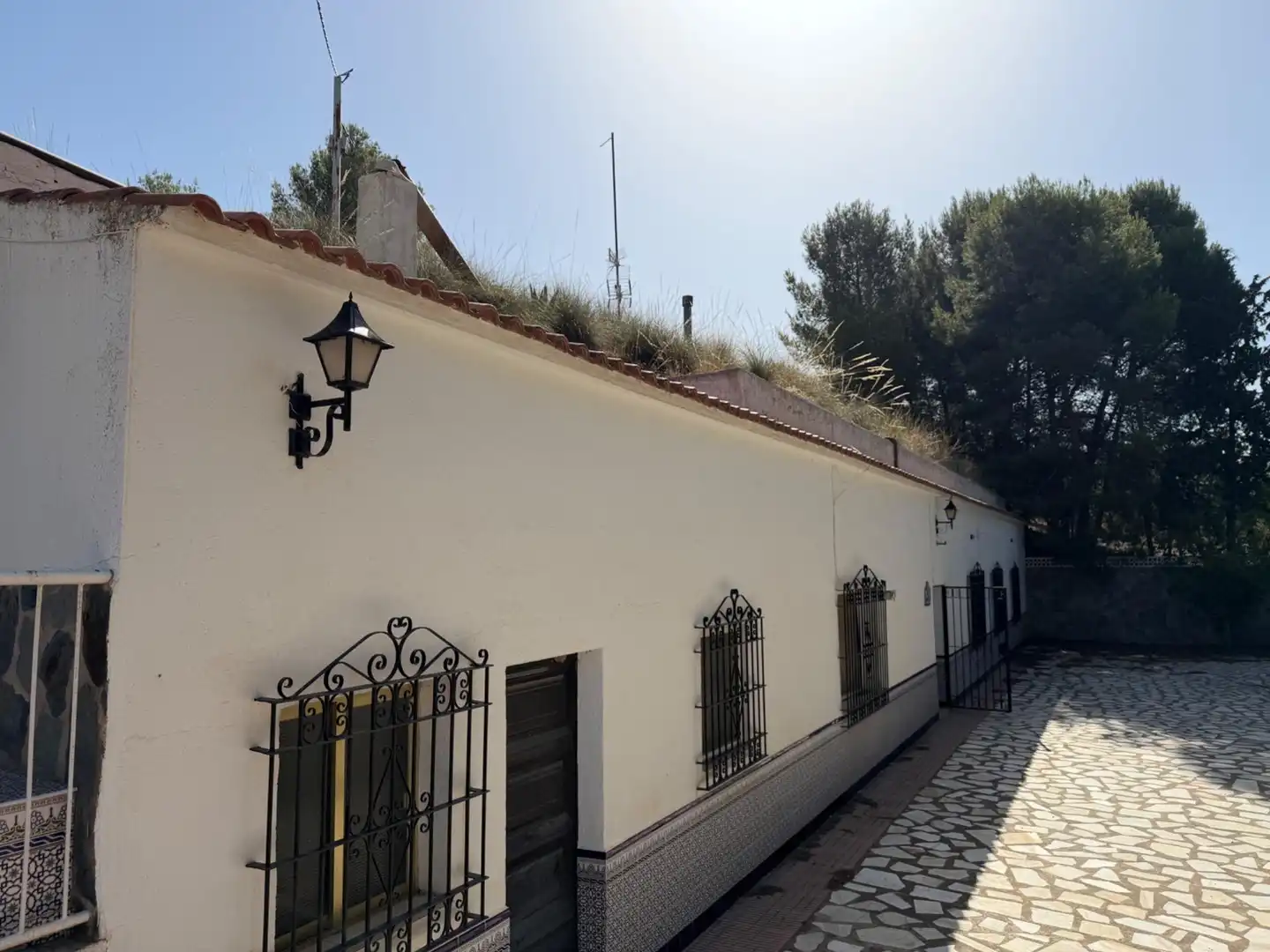 Vista exterior de Finca rústica en venta en Cúllar