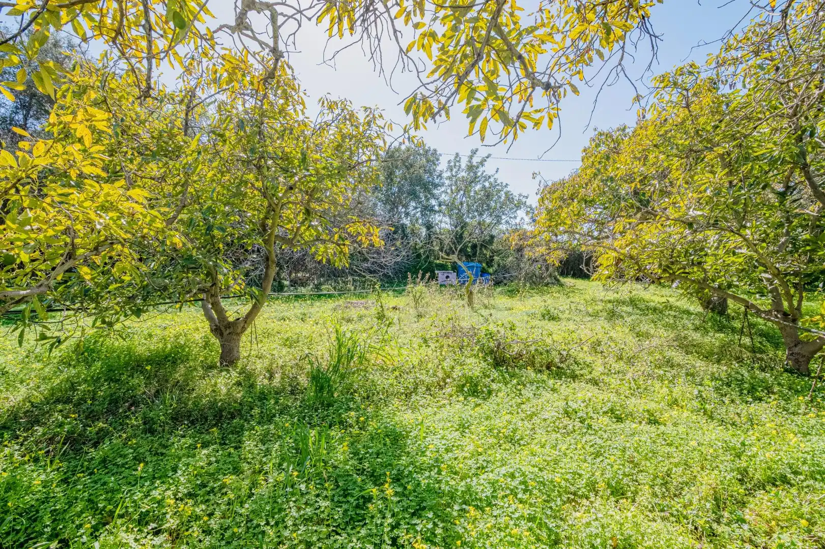 Casa o chalet en venta en Motril con Jardín privado, Terraza y Piscina