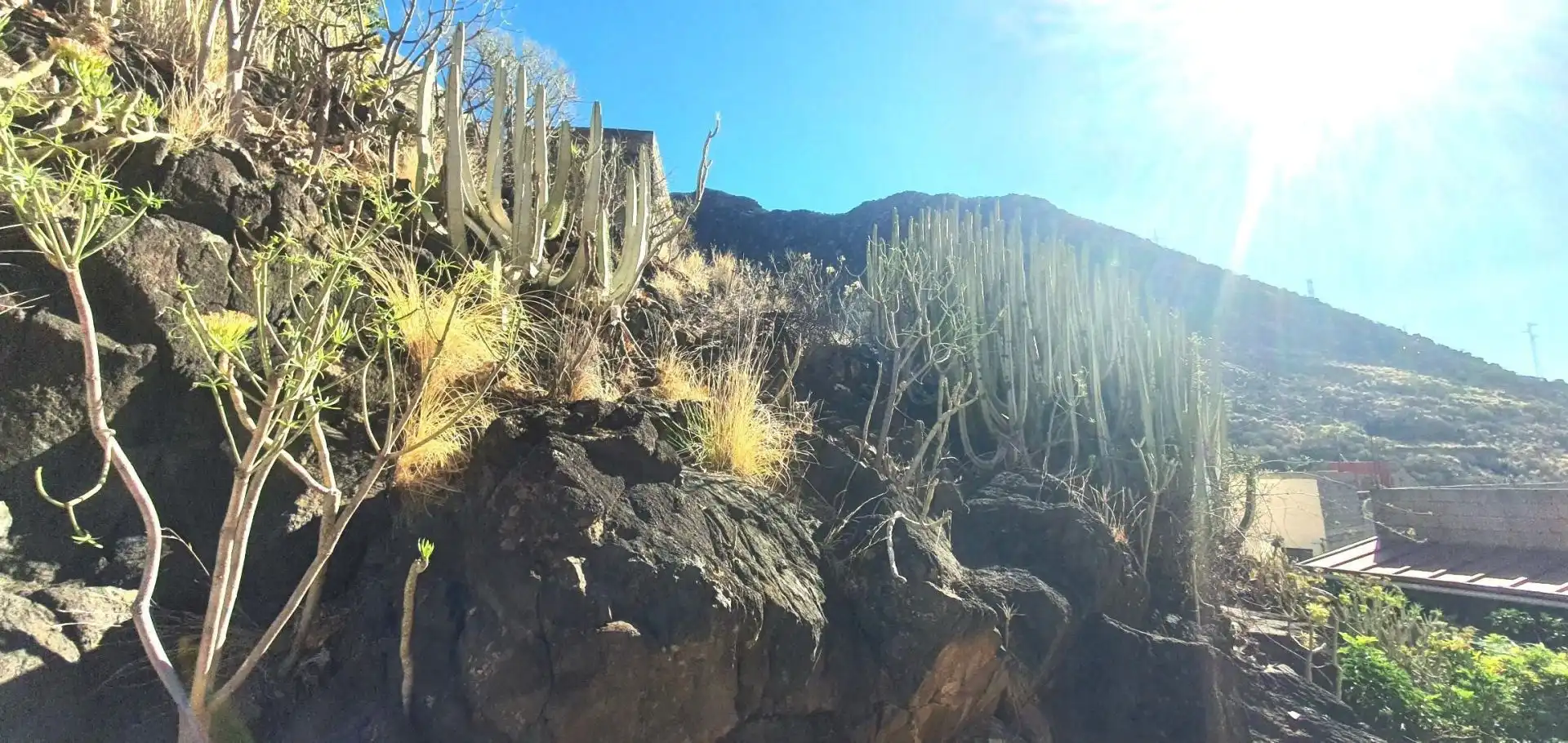 Exterior view of Residential for sale in Santa Cruz de Tenerife
