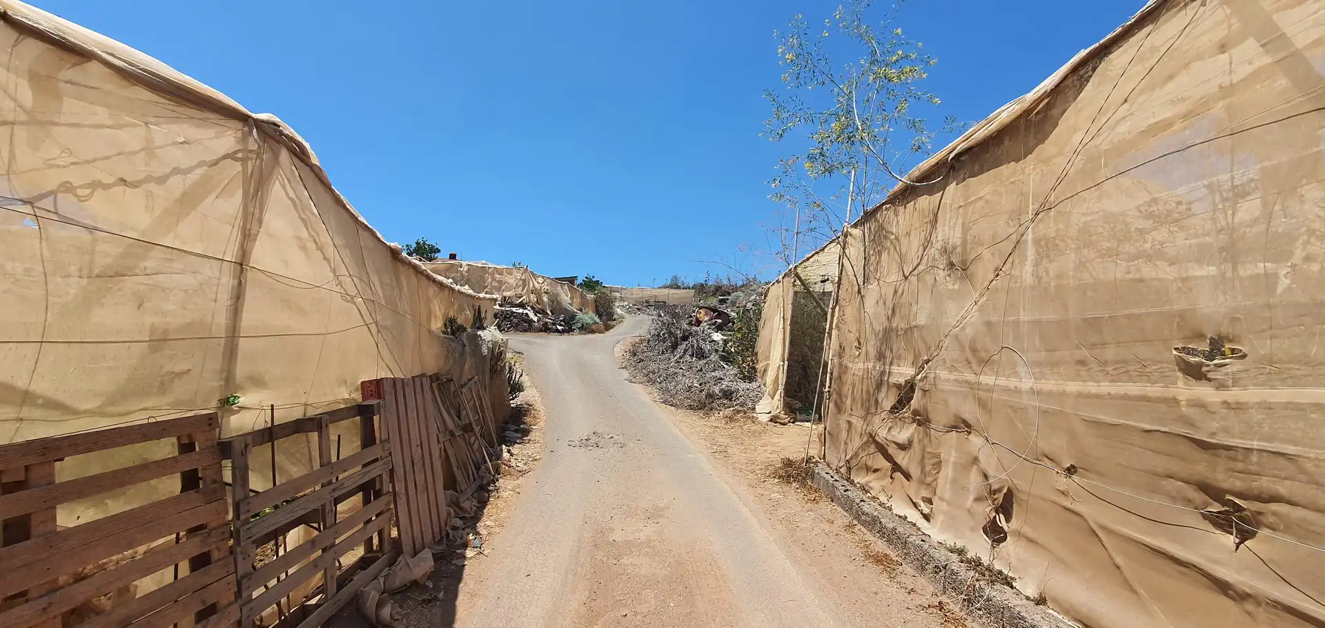 Terreny rústic en venda a Playa de San Juan, imagen 19