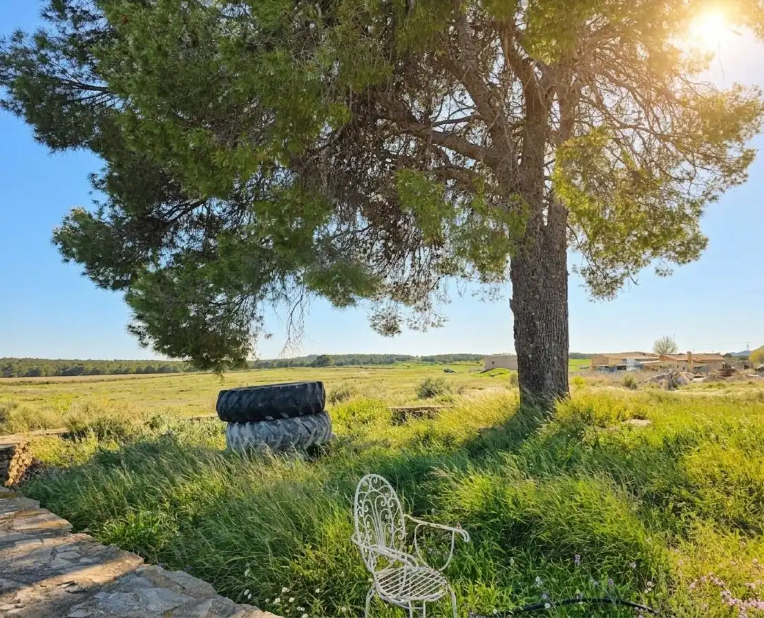 Terreno residenziale in vendita a Moratalla, imagen 2