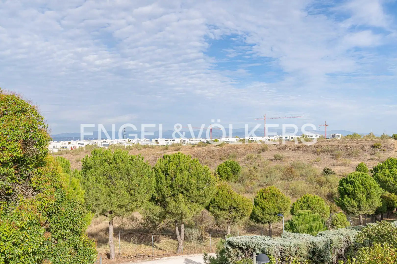 Houses for sale in Bonanza