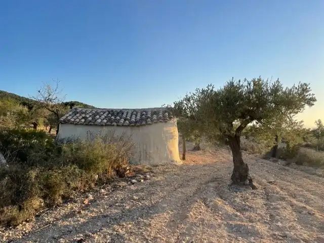 Rural land for sale in Biar, imagen 12