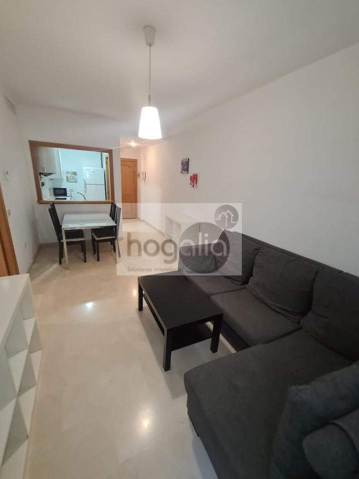 Sala d'estar de Pis de lloguer en  Sevilla Capital amb Aire condicionat, Jardí privat i Piscina