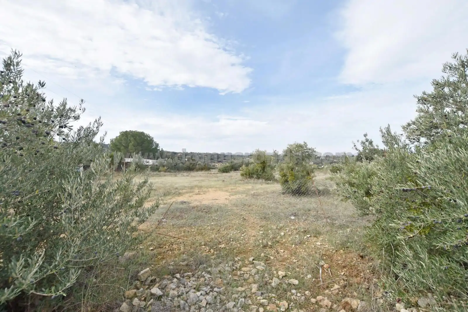 Terreno en venta en Ronda