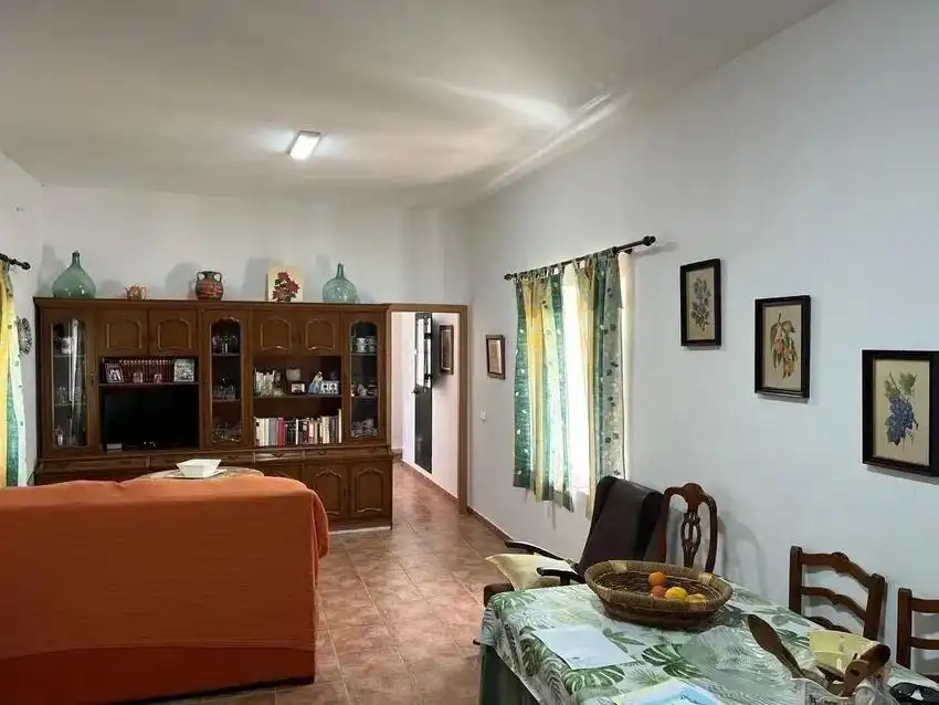 Sala de estar de Casa o chalet en venta en Málaga