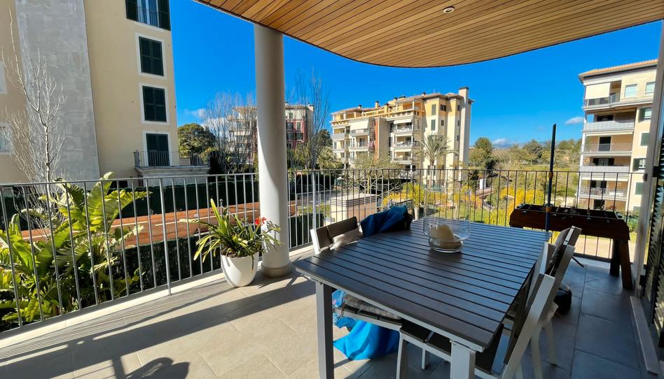 Photo 1 of Flat to rent in Camí de Gènova, Sa Teulera, Illes Balears