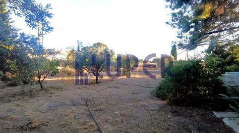 Foto 5 de Residencial en venda a Sol y Luz, Alicante