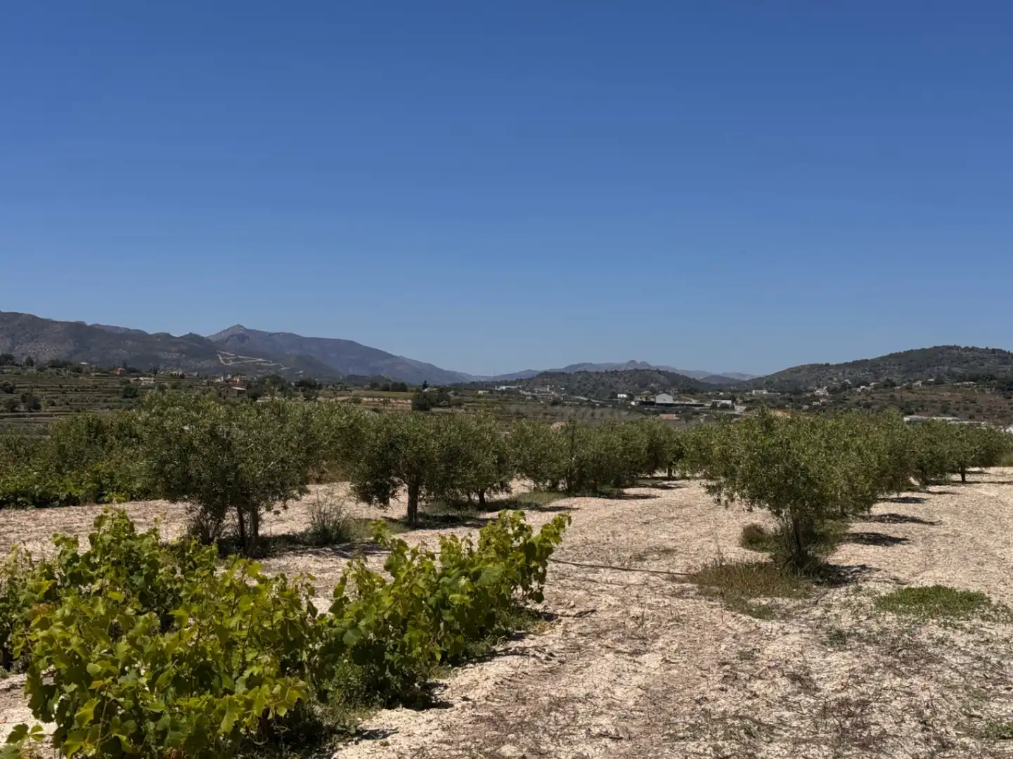 Finca rústica en venta en Benissa con Aire acondicionado, Calefacción y Jardín privado