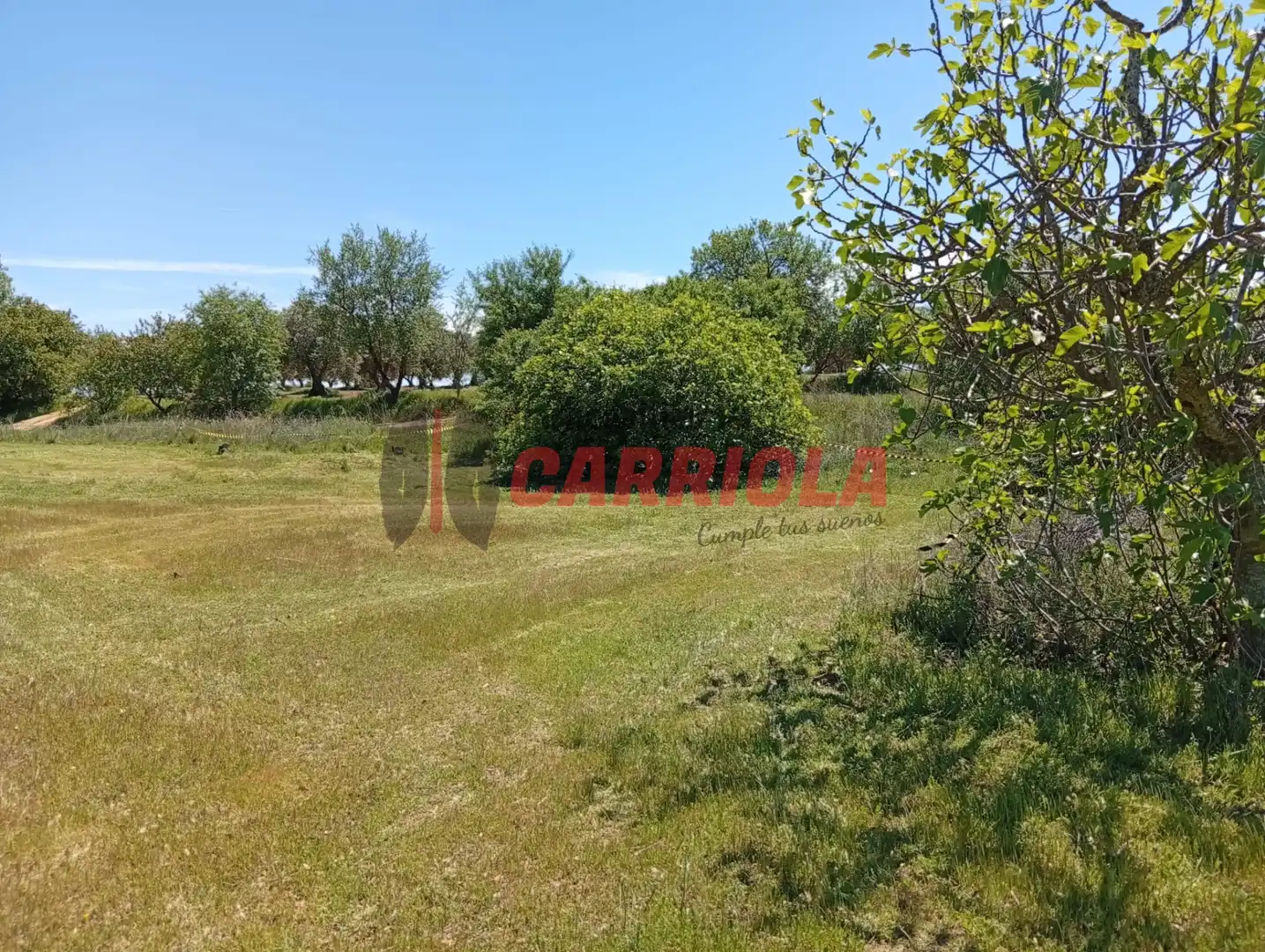Casa rústica en venta en Los Cerralbos, imagen 4