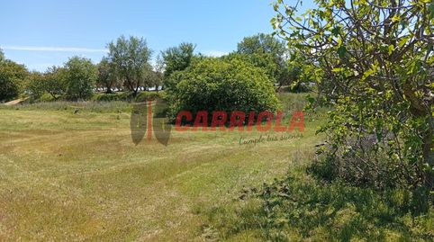 Foto 4 de Finca rústica en venda a Los Cerralbos, Toledo