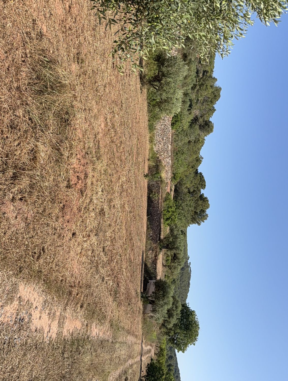 Finca rústica en venda en Creixell