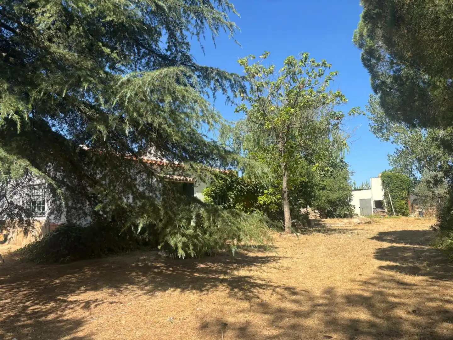 Xalet en venda a Malagón, imagen 14