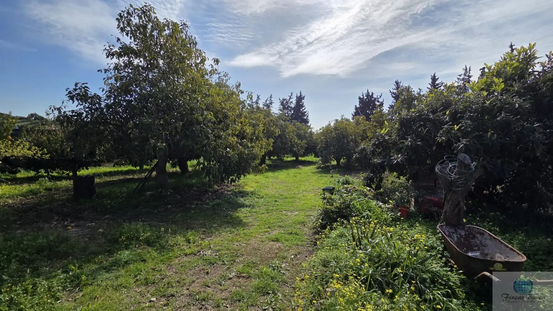 Casa rustica in vendita a Valtocado - La Alquería - La Atalaya