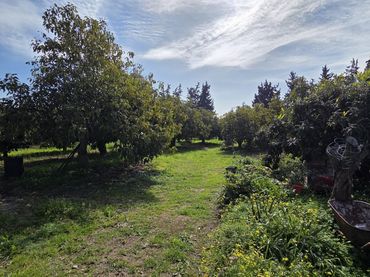 Casa rústica en venta en Valtocado - La Alquería - La Atalaya