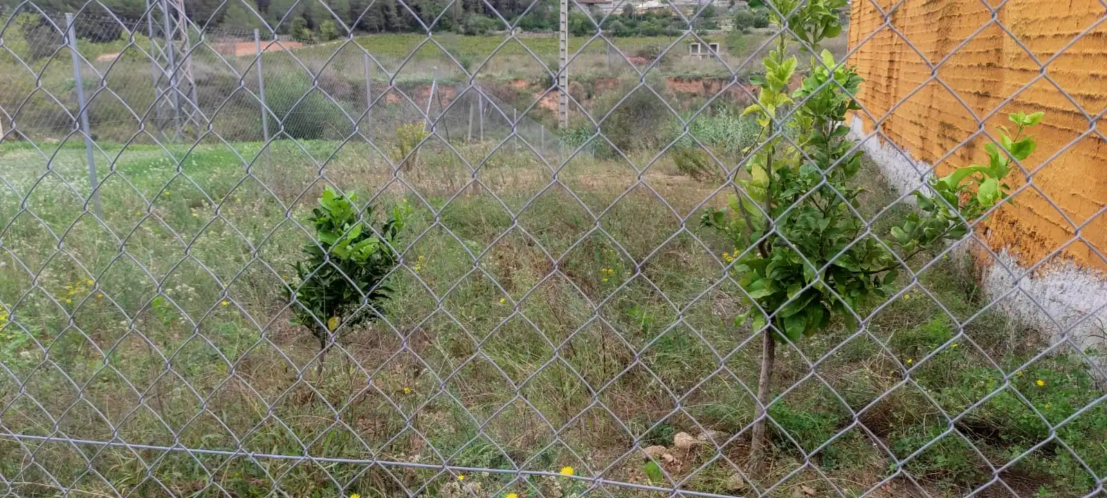 Residential land for sale in Canyelles, imagen 4