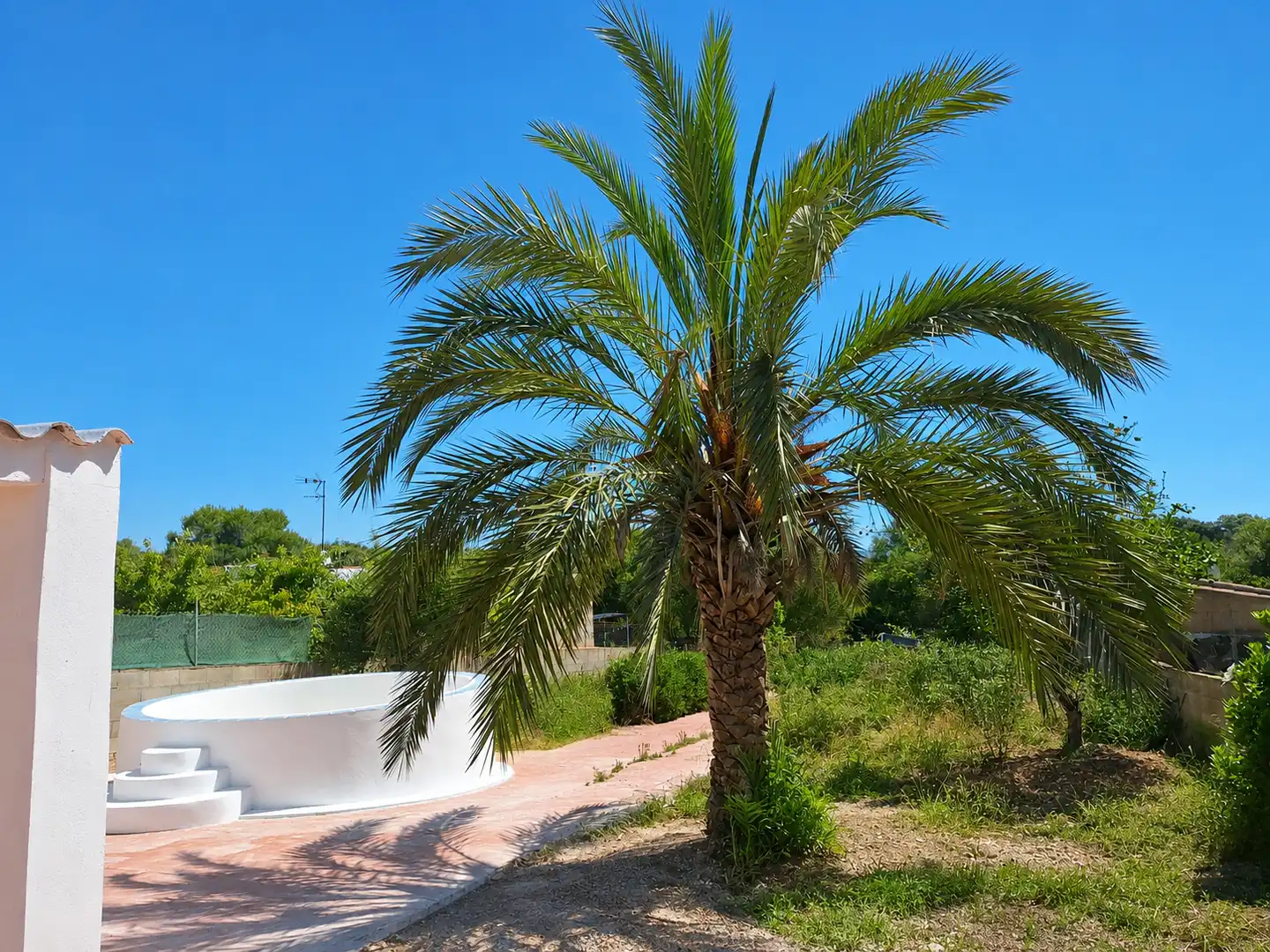 Casa rústica amb piscina en venda a Manacor Centre, imagen 5