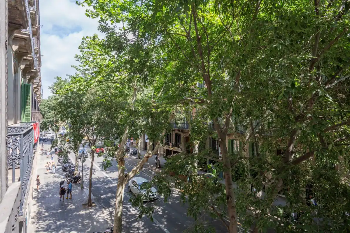 Habitació a Dreta de l'Eixample