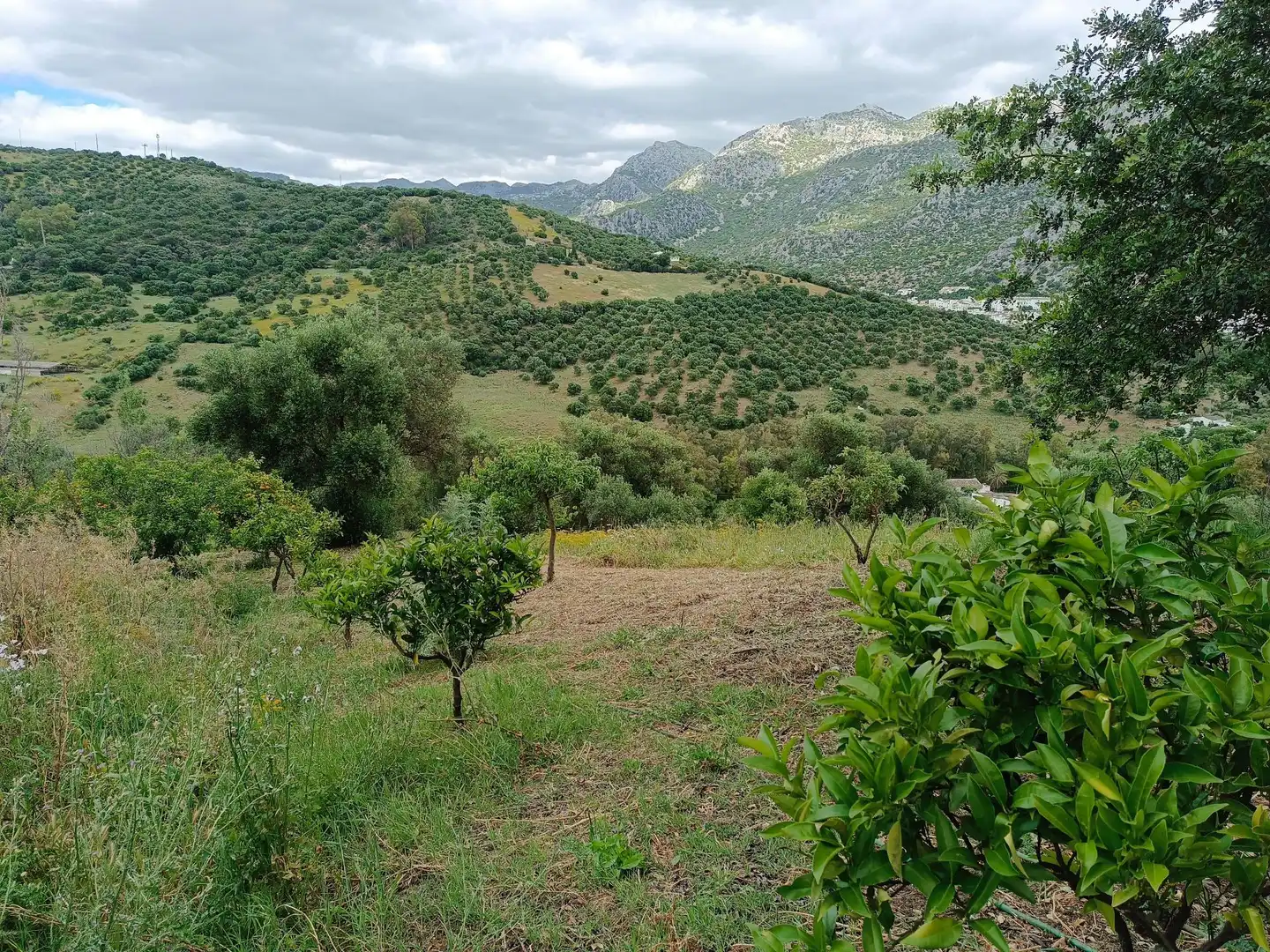 Residential for sale in Ubrique