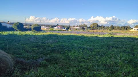 Photo 4 of Residential for sale in Barrio Nuevo, Conil de la Frontera