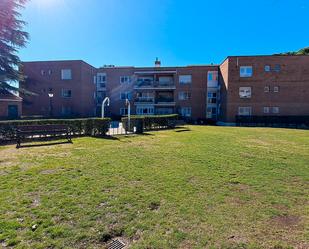 Pis de lloguer a Paseo de la Alameda de Osuna, 7, Alameda de Osuna