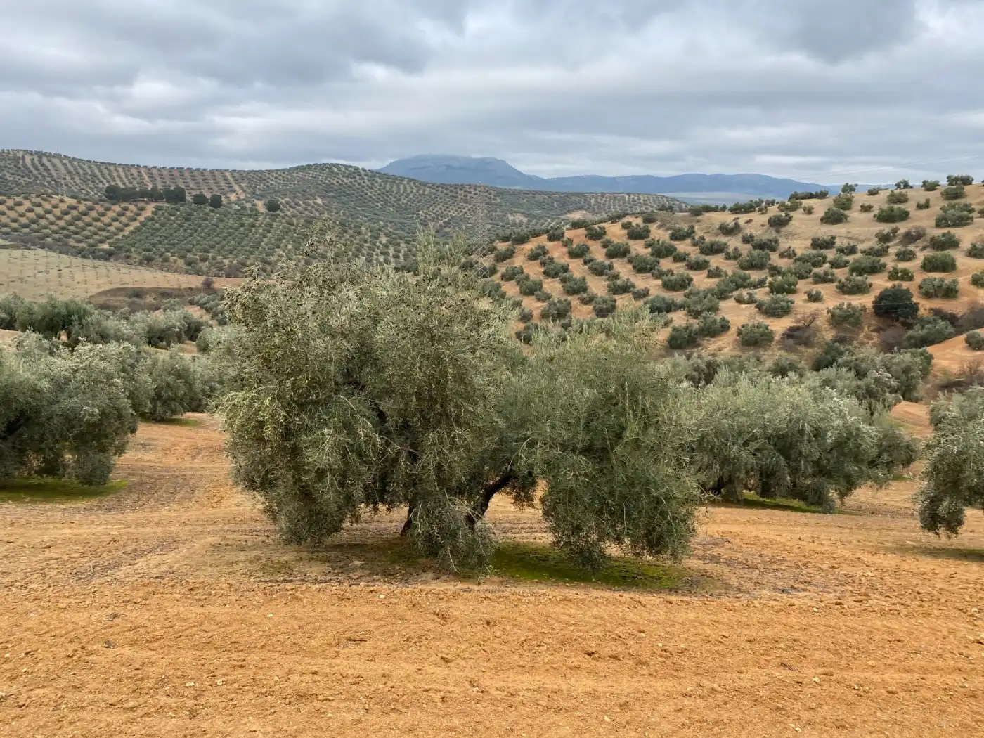 Casa rustica in vendita a Huétor Tájar, imagen 68