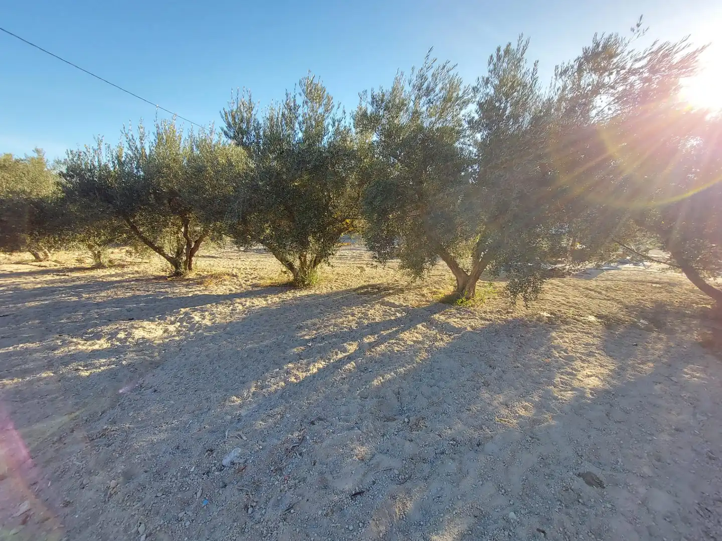 Finca rústica en venta en Calasparra con Jardín privado y Piscina