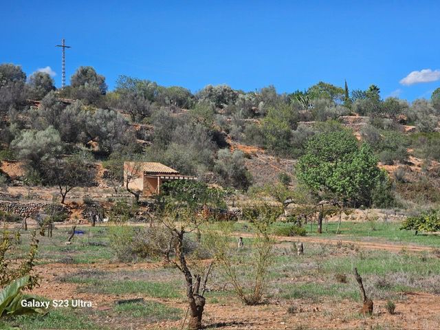 Finca rústica en venda a PARTIDA, Sant Joan de Moró