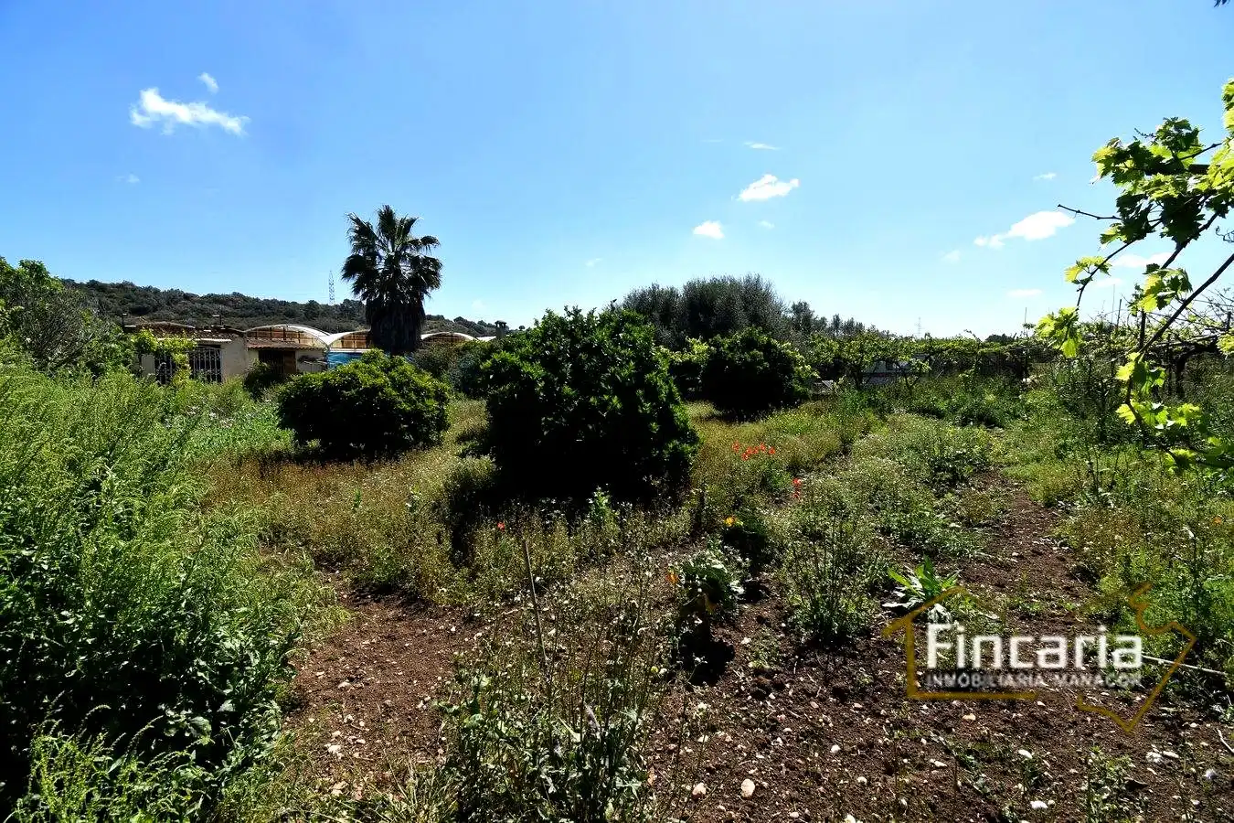 Casa rústica amb jardí en venda a Poligono Poligon 27, imagen 51