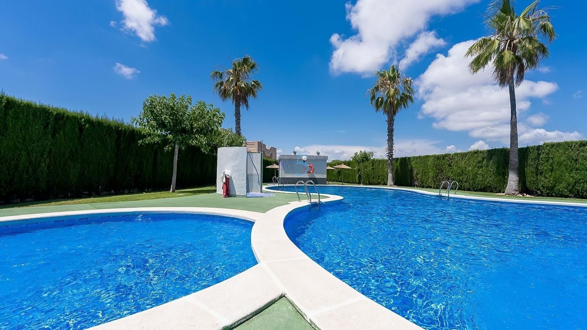 Swimming pool of Flat for sale in Torrevieja  with Terrace, Swimming Pool and Furnished