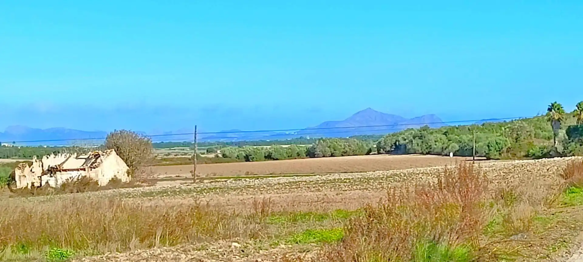 Wohnbaugrundstück zum Verkauf in Muro, imagen 4